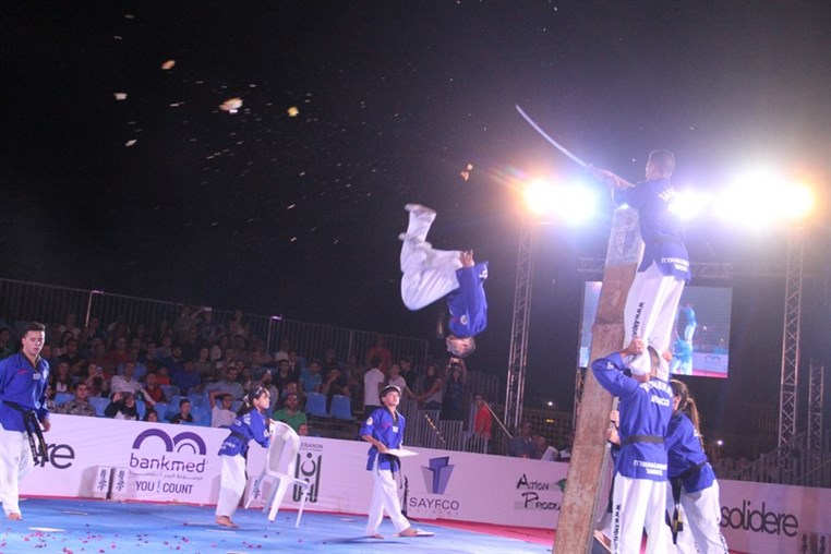 Martial Arts Festival
